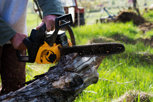 Best Hazardous Tree Removal  in North Eagle Butte, SD